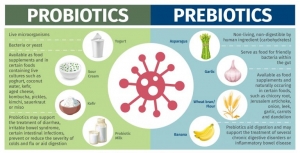 Probiotik sa prebiotikom